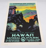 Hawaii National Park Naturalist Poster