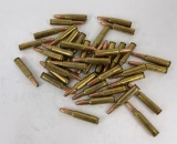 40 Count .300 Savage Rifle Ammo