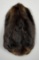 Montana Beaver Fur Pelt Taxidermy