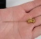 Antique Alaskan Gold Nugget Miners Stick Pin