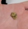 Large Antique Alaskan Gold Nugget 4 Grams