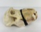 Gene Wensel African Baboon Skull Mount