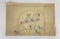 Antique Native American Indian Ledger Drawing