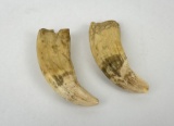 Pair Of Antique Eskimo Whale Teeth