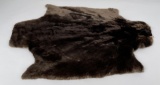 Beautiful Sheared Beaver Fur Pelt Taxidermy