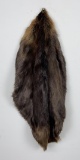 Montana Beaver Fur Pelt Taxidermy