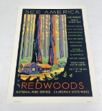 Redwoods National Park Naturalist Poster