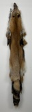 Beautiful Ranch Red Fox Fur Pelt Taxidermy
