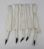 Lot Of 5 Wild Tanned Taxidermy Ermine