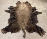 Large Taxidermy Montana Buffalo Hide Robe Rug