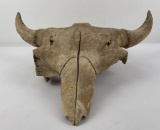 Montana River Found Ancient Buffalo Skull
