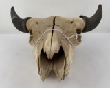 Nice Large Montana Buffalo Skull