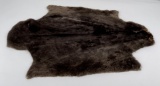 Beautiful Sheared Beaver Fur Pelt Taxidermy