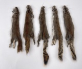 Lot Of 5 Wild Tanned Taxidermy Squirrel