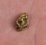 Huge Antique Alaskan Gold Nugget 15 Grams