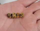 Antique Alaskan Gold Nugget Miners Brooch