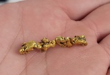 Antique Alaskan Gold Nugget Miners Brooch