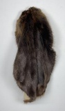 Montana Beaver Fur Pelt Taxidermy