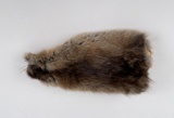 Montana Muskrat Taxidermy Fur Pelt Hide