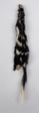 Beautiful Wild Spotted Skunk Fur Pelt Taxidermy