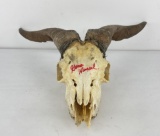 Gene Wensel African Skull Mount