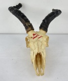 Gene Wensel African Rooibok Skull Mount