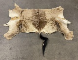 Gene Wensel Hartebeest Tanned Leather Hide