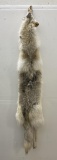 Huge Arctic Wolf Taxidermy Tanned Hide