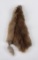 Montana Muskrat Taxidermy Fur Pelt Hide