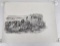 Eric Carlson Missoula Montana Pencil Drawing