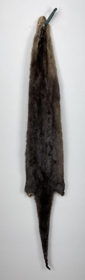 Ohio Taxidermy Otter Hide Pelt Fur