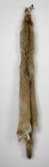 Very Nice Montana Taxidermy Coyote Pelt