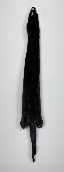 Beautiful Ranch Black Mink Fur Pelt Taxidermy