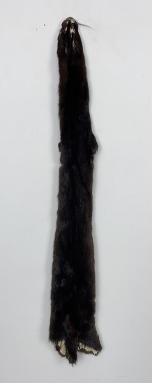 Beautiful Ranch Black Mink Fur Pelt Taxidermy