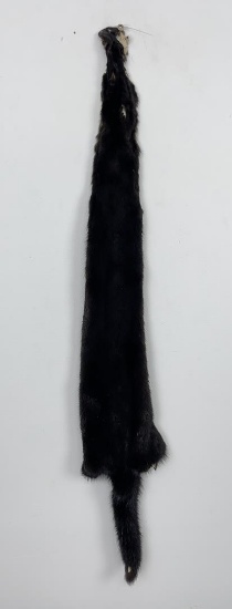 Beautiful Ranch Black Mink Fur Pelt Taxidermy