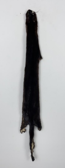 Beautiful Ranch Black Mink Fur Pelt Taxidermy
