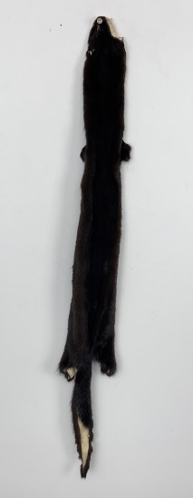 Beautiful Ranch Black Mink Fur Pelt Taxidermy