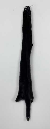 Beautiful Ranch Black Mink Fur Pelt Taxidermy