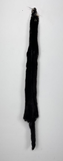 Beautiful Ranch Black Mink Fur Pelt Taxidermy