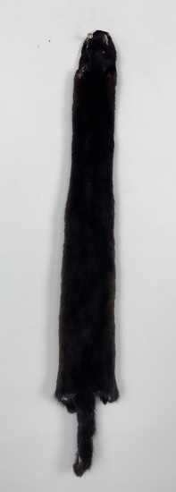 Beautiful Ranch Black Mink Fur Pelt Taxidermy