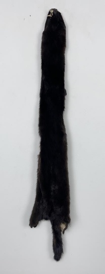 Beautiful Ranch Black Mink Fur Pelt Taxidermy