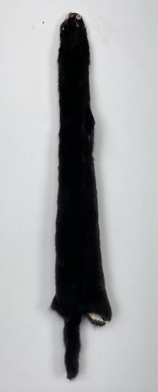Beautiful Ranch Black Mink Fur Pelt Taxidermy