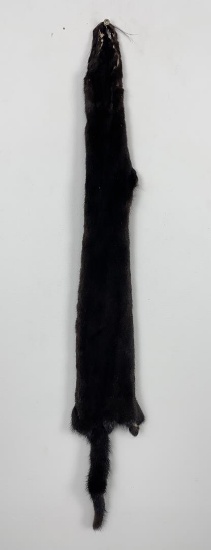Beautiful Ranch Black Mink Fur Pelt Taxidermy