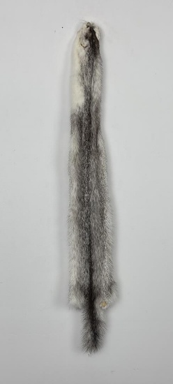 Beautiful Ranch Marbled Mink Fur Pelt Taxidermy