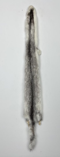 Beautiful Ranch Marbled Mink Fur Pelt Taxidermy