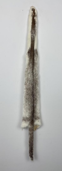 Beautiful Ranch Marbled Mink Fur Pelt Taxidermy