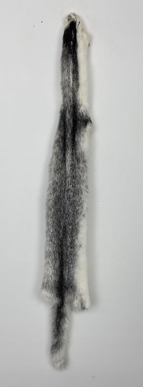 Beautiful Ranch Marbled Mink Fur Pelt Taxidermy