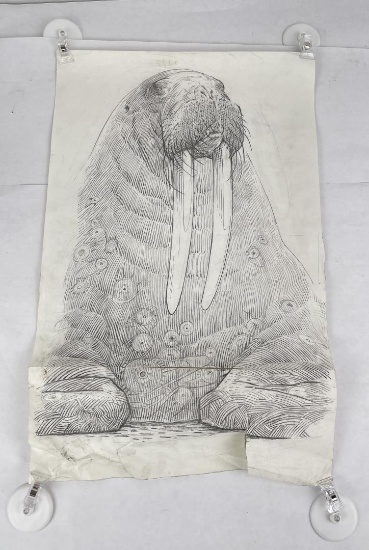 Eric Carlson Missoula Montana Pencil Drawing