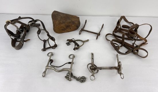 Lot Of Antique Montana Ranch Cowboy Items