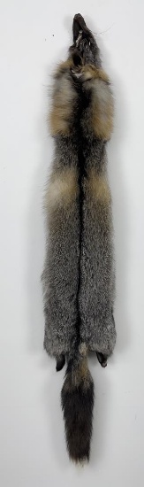 Beautiful Ranch Cross Fox Fur Pelt Taxidermy
